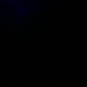 Meet your Posher, Selena